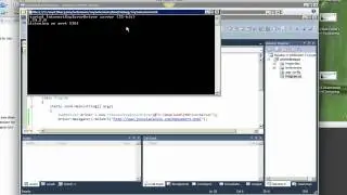 Selenium 2.0 WebDriver with Visual Studio, CSharp & IE - Getting Started