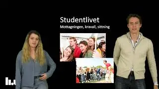 Civilekonom   ett yrke med många valmöjligheter