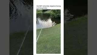 They can run up to 22mph btw… you cannot