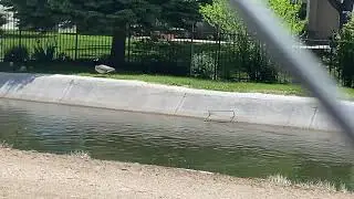 Meridian Parks