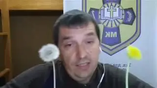 Суд и одуванчик