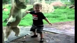 Дети в зоопарке   Самые смешные моменты!