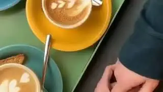 timaya dunya timaya alem