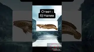 21 апреля 2024 г.