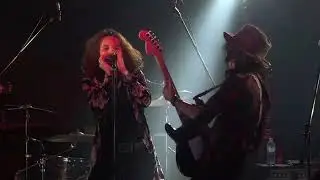 THE SHOTGUN GROOVE / 真空管のドライヴ LIVE