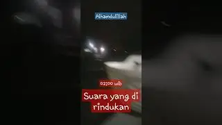 Ada suara merdu !!! sahur...sahur  