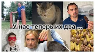 У нас теперь из два 🦜 делаю маникюр 💅 местная знаменитость ✔️ какой шоколад лучше 🍫вечерняя прогулка