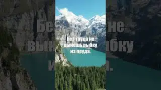 Russian proverbs