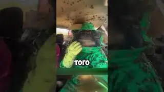 Перевезли пчел в автомобиле!
