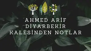 Diyarbekir Kalesinden Notlar | Ahmed Arif