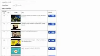 wordpress video tube plugin