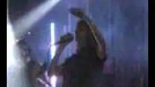 Najwa Nimri Human monkeys