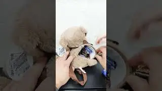 НОВОГОДНИЙ ПОДАРОК СОБАКА С КОНФЕТАМИ
