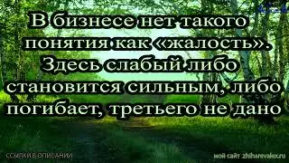 ЦИТАТА МЕСЯЦА Июль 2023