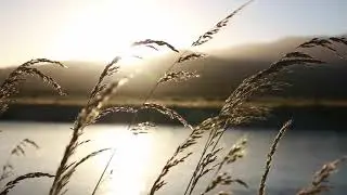 #MeditationMusic Kids and Baby Sleep Music, Study Music, Relaxation Music, Calm Nature Music
