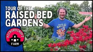 Raised Bed GARDEN TOUR 2024: Raised Bed Gardening (Ontario Zone 6a)