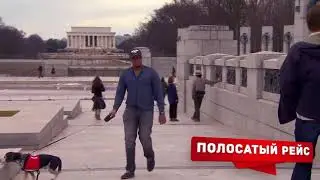 6 Самых Гениальных Контрабандистов Всех Времён