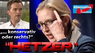 Wie Alice Weidel (AfD) einen n-tv Moderator entblößte