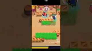 smart shelly