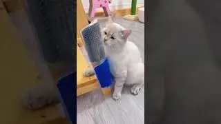 Максимальные балдежи🤗