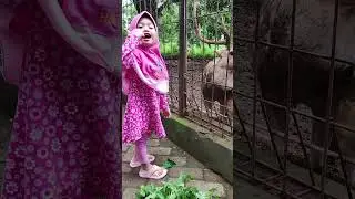 Hai Rusa.... Mau makan?