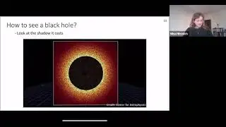 Mina Himwich - "Illuminating Black Holes"