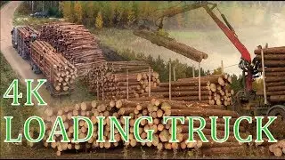Timber truck loading 4K