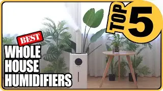 ⭐We Review The 5 Best Whole House Humidifiers Of 2022 - Top 5 Review Guide