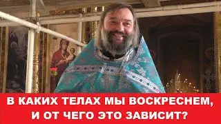 В каких телах мы воскреснем, и от чего это зависит? Священник Валерий Сосковец