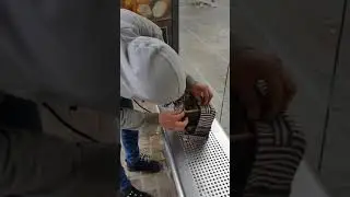 Faliyo 2019 CON SU PALOMO