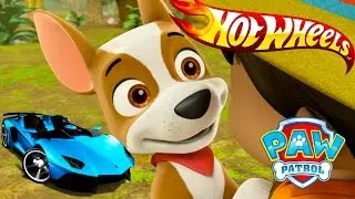 ЩЕНЯЧИЙ ПАТРУЛЬ и Hot Wheels / Хот Вилс. СБОРНИК - Все серии. Гоночные машинки. Развивающий мультик