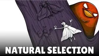 Darwin's Theory of Evolution: Natural Selection