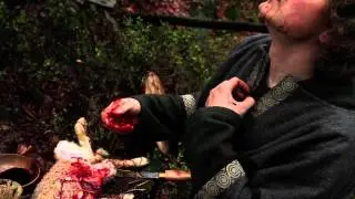 BLODHEVN (Blood Vengeance)