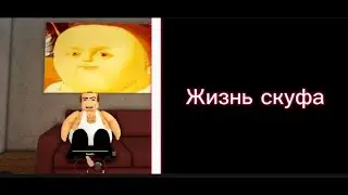 Жизнь скуфа