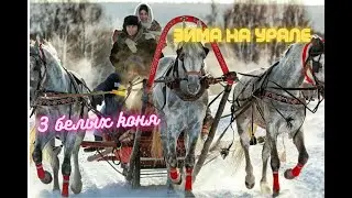 3 белых коня🏇🏇🏇 (✨Зима на Урале✨)