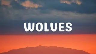 Selena Gomez, Marshmello - Wolves (Lyrics)