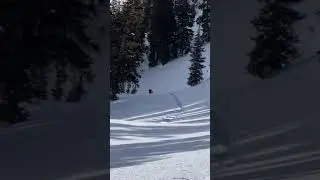 2020 sled