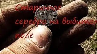 Коп с подписчиком и доисторическое серебро🔞❗