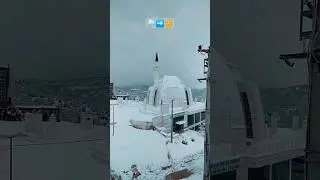 Winter to Spring