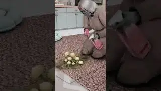 The Secret Link Between Sims and Mold
