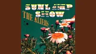 Sunlamp Show (Disco Bloodbath Effect)