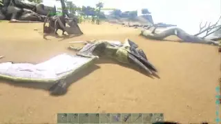 Ark ptera taming