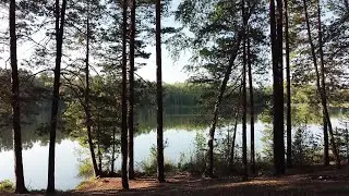 Как прекрасен этот мир