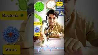 Compound Microscope Function😳🆗🫡||Dawood khan DK 
