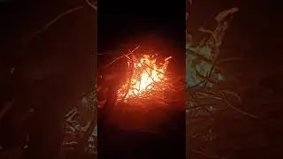 The calmness in the dark