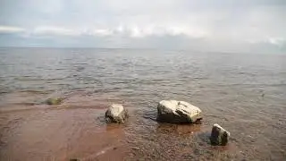 Финский залив