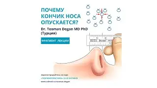 Почему кончик носа опускается?  (фрагмент лекции)