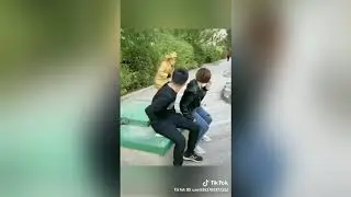 Tik tok terbaru lucu gokil 2019