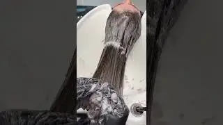 Gray Hair Color Transformation 