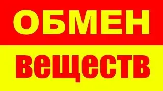 КАК РАБОТАЕТ ОБМЕН ВЕЩЕСТВ НА ДИЕТЕ